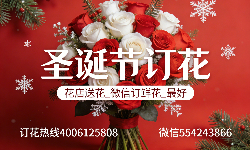 ���ݳ����ػ���